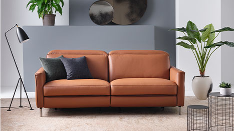 2 seater tan leather sofa styled with 2 blue cushions in a modern decorated room